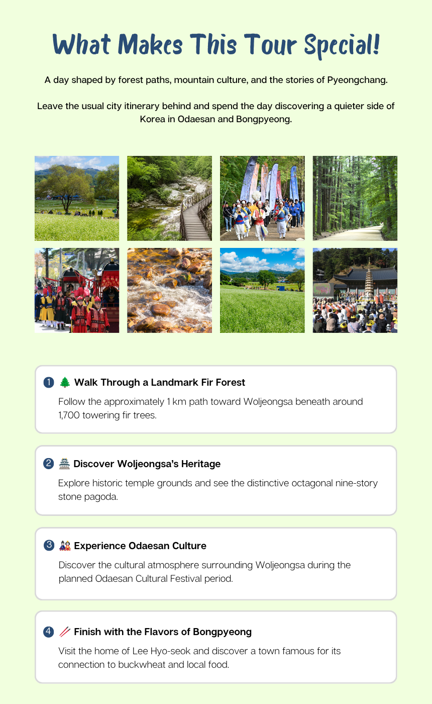 [10/9]ODAESAN AUTUMN CULTURE ESCAPE