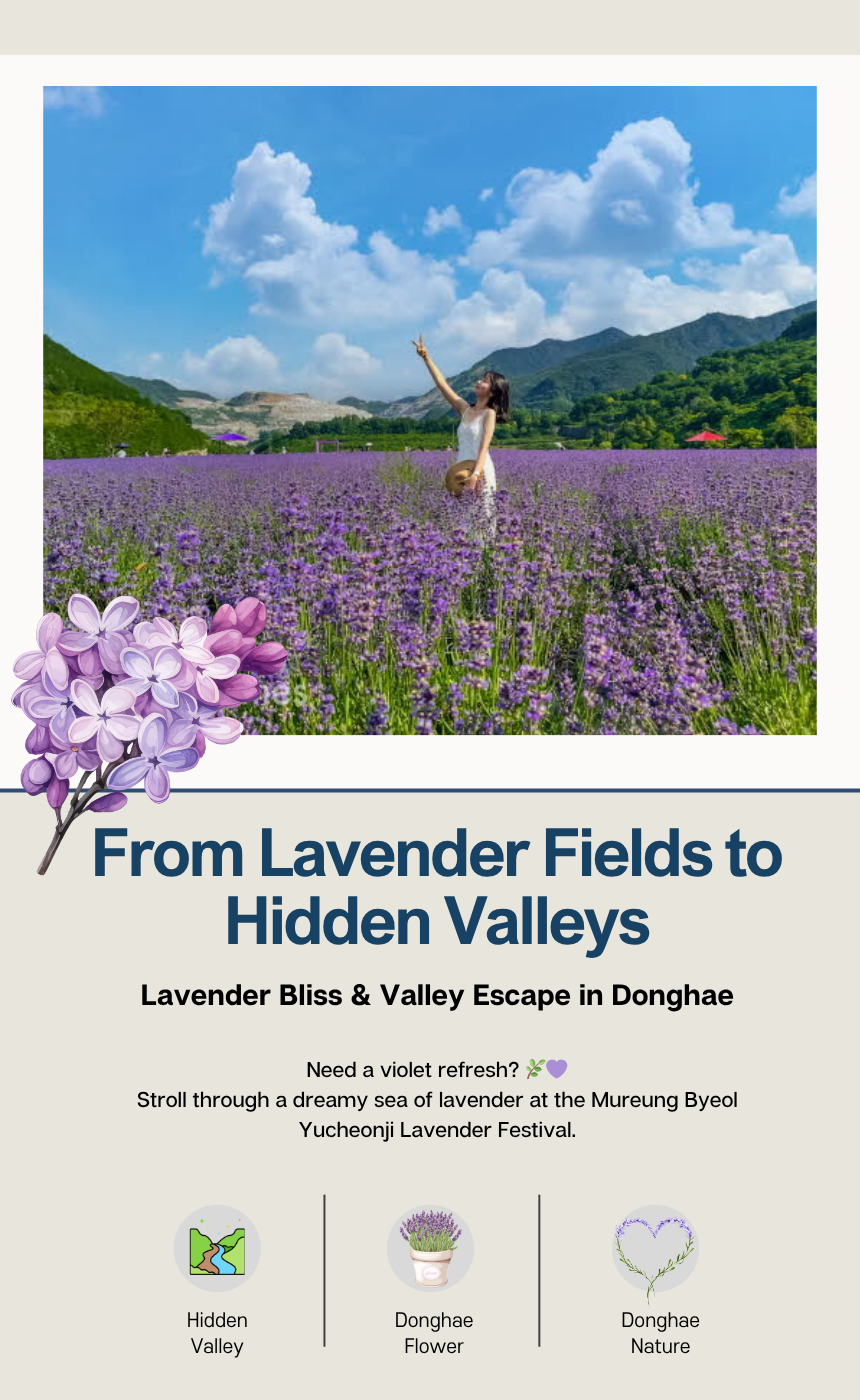 [6/14] Donghae Lavender Festival