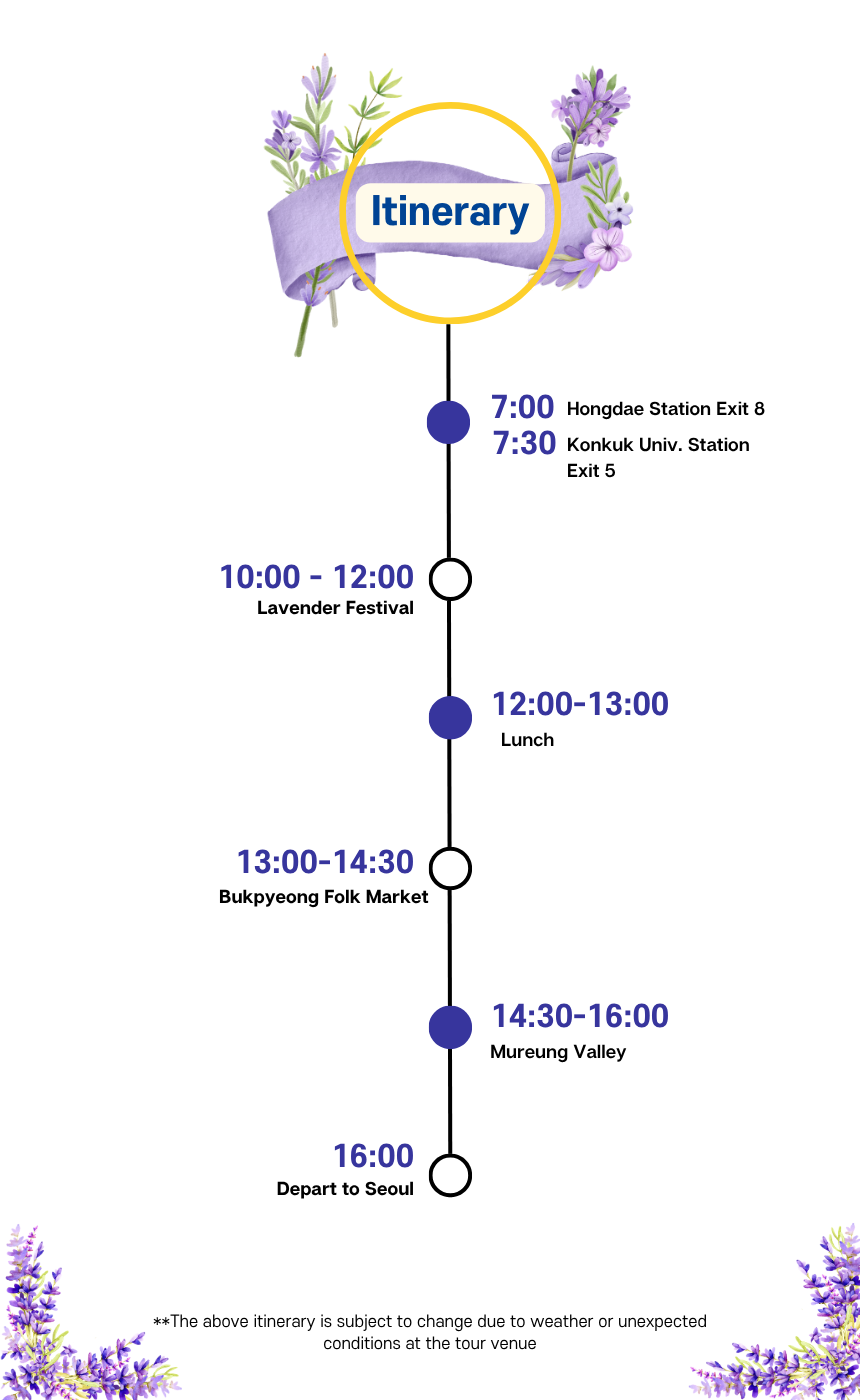 [6/14] Donghae Lavender Festival