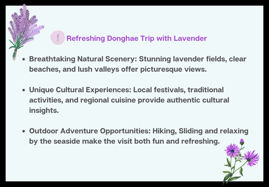 [6/14] Donghae Lavender Festival
