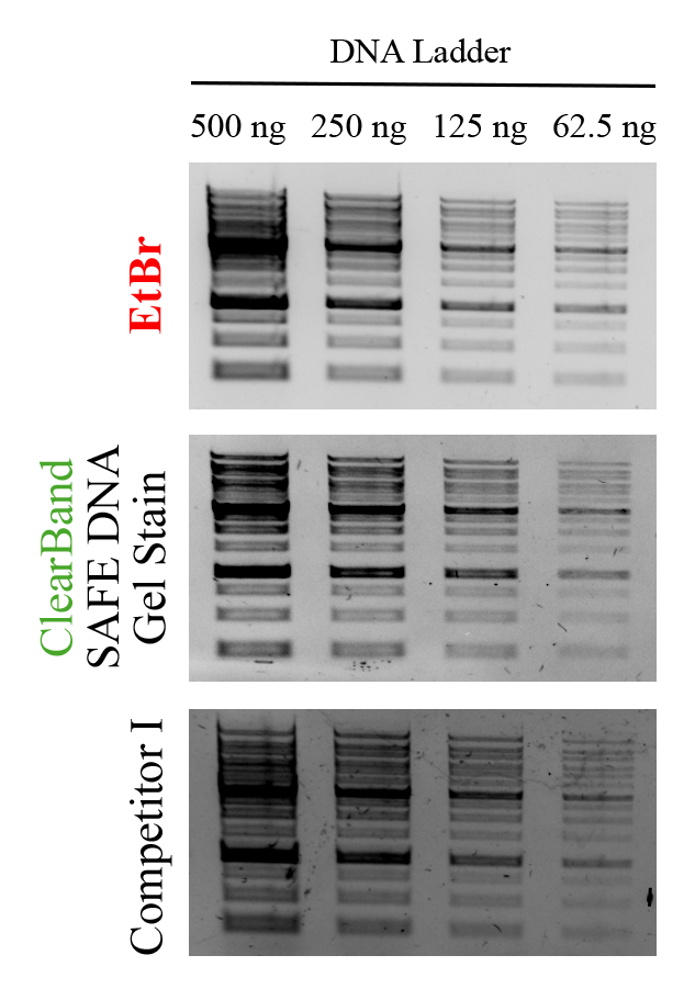 ECOTECH 한국공식대리점 ClearBand SAFE DNA Gel Stain Solution, 20,000x