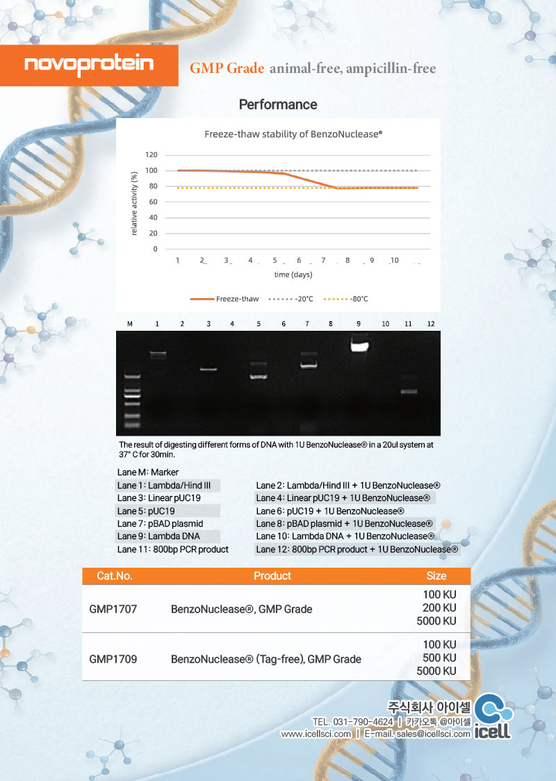 novoprotein,benzonuclease,아이셀,icell