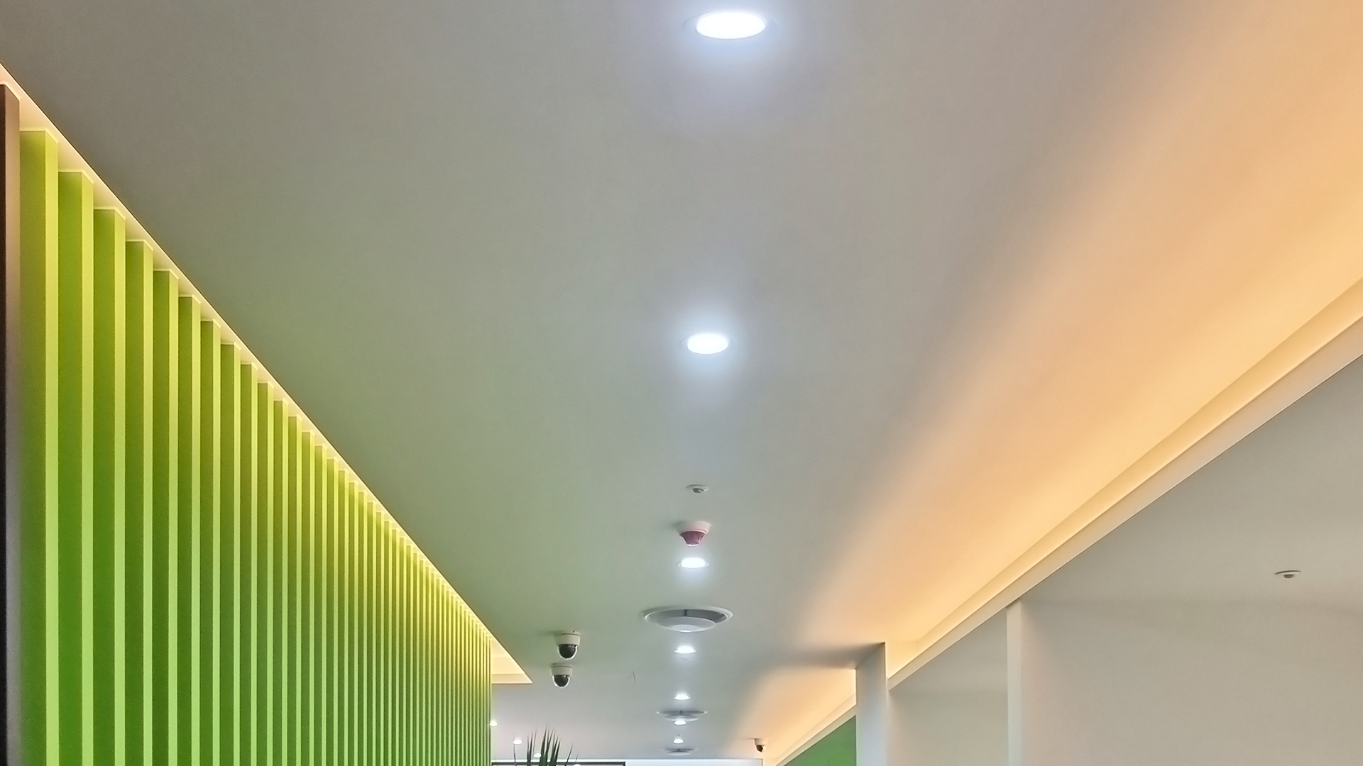 4876c0aa14a84.jpg