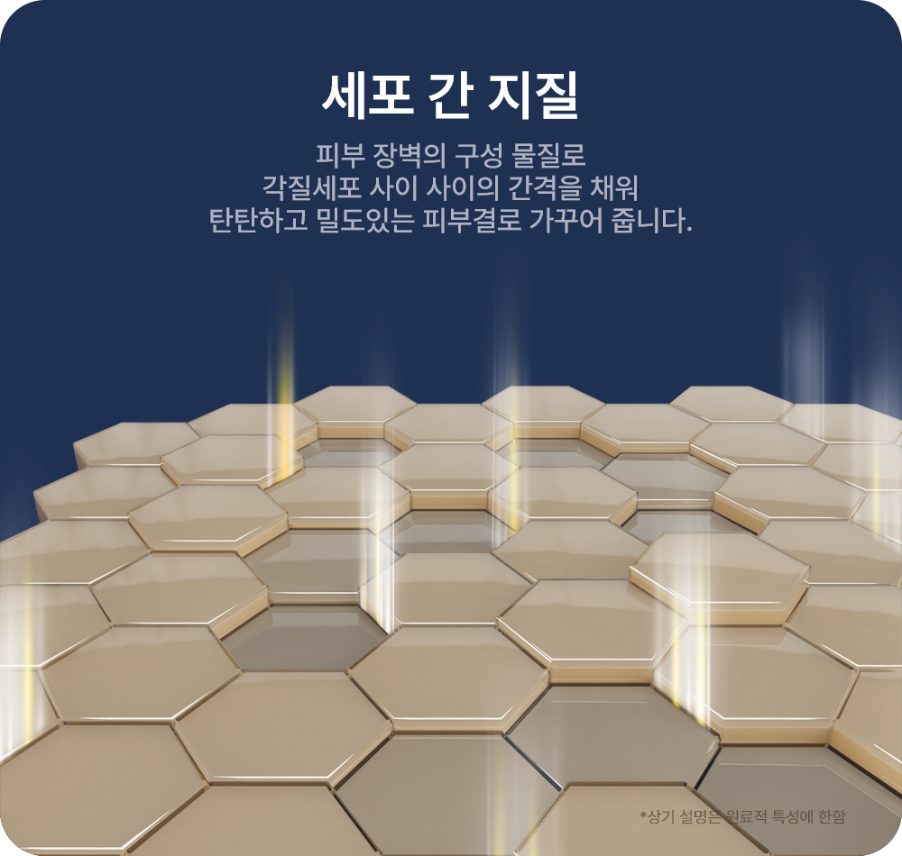 라멜린 세라멘트 크림 50ml