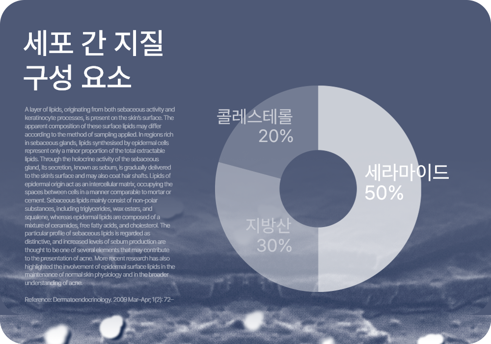 라멜린 세라멘트 크림 50ml