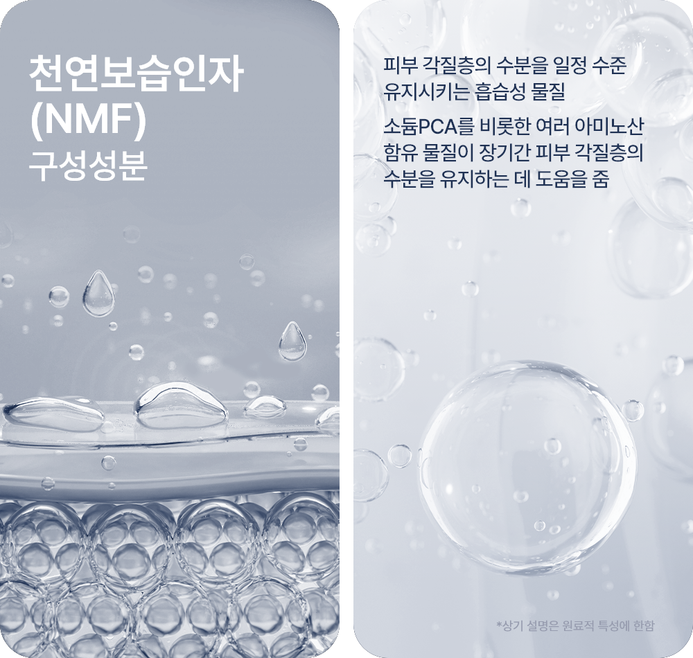 아미놀린 차징자이저 500ml