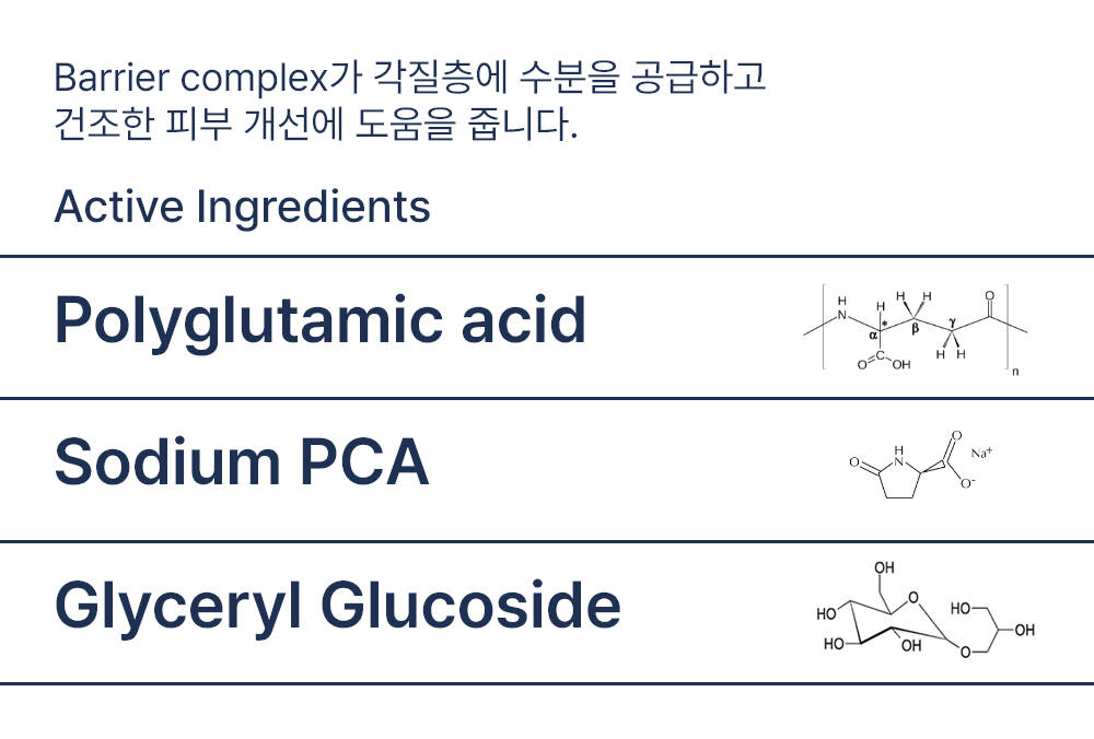 아미놀린 차징자이저 500ml