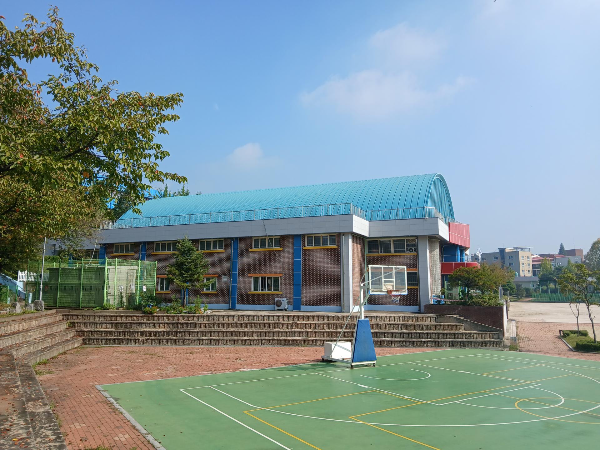 e06ae9f1c369a.jpg