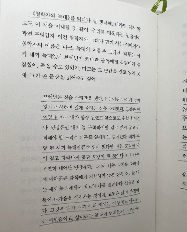 d688b39a7852f.png
