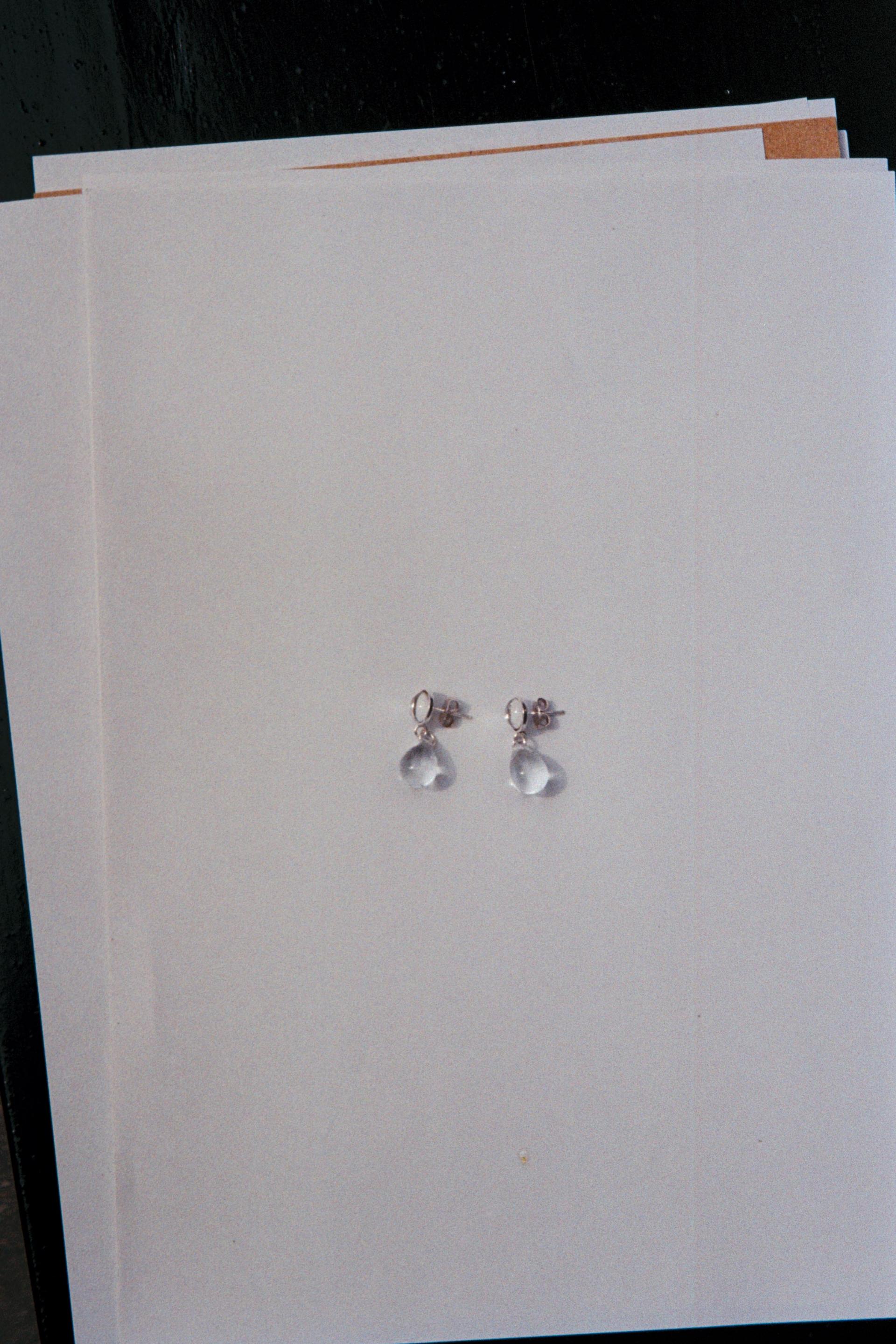 Danielle earrings · Clear