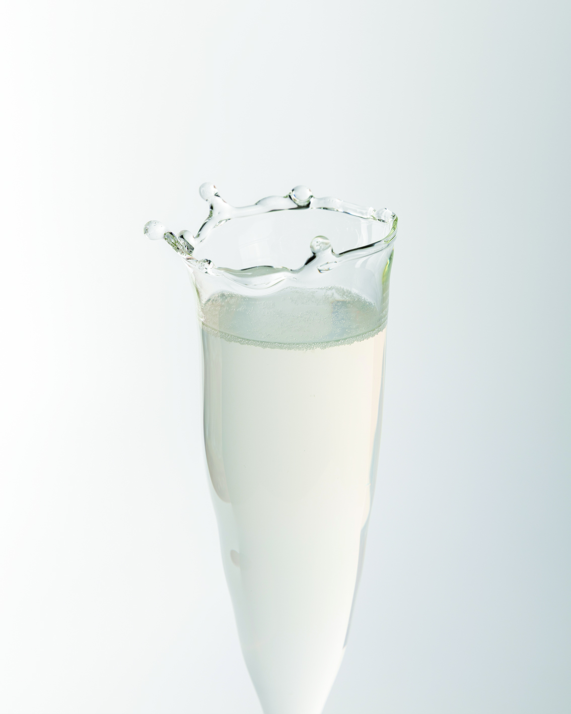 Seashell Champagne Glass