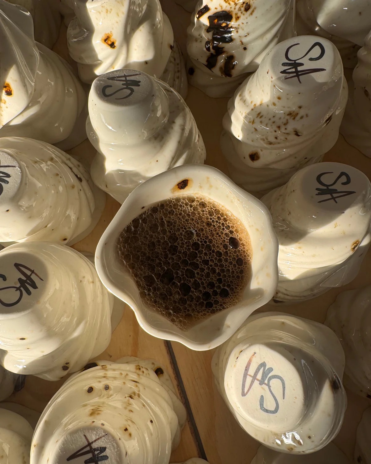 Svane cup · Ryle