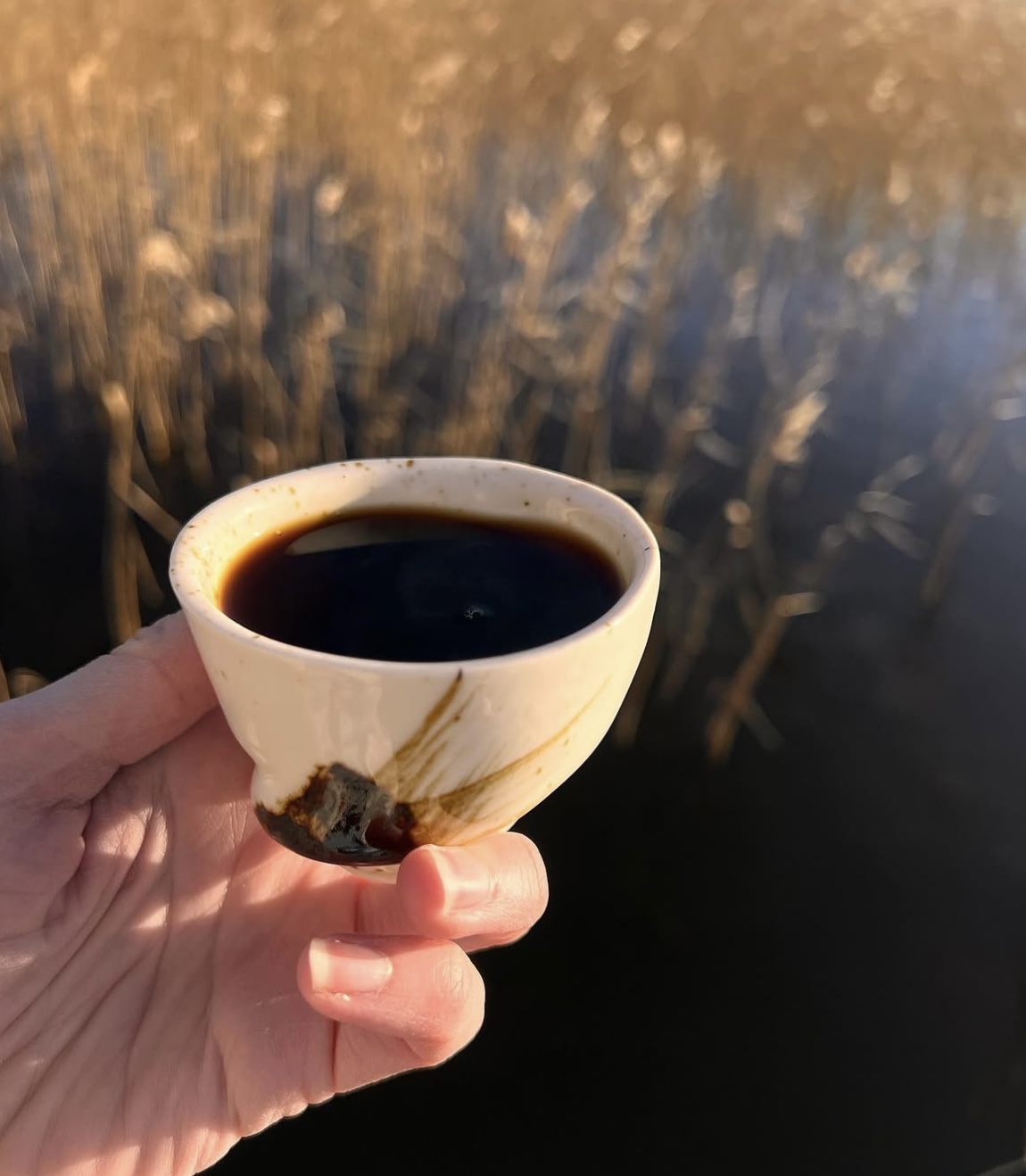 Black sun espresso