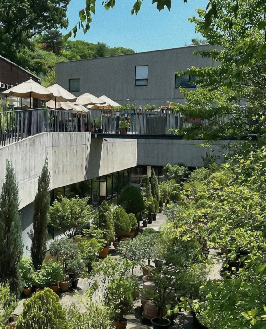 IMG_6885 (1)_11zon.png