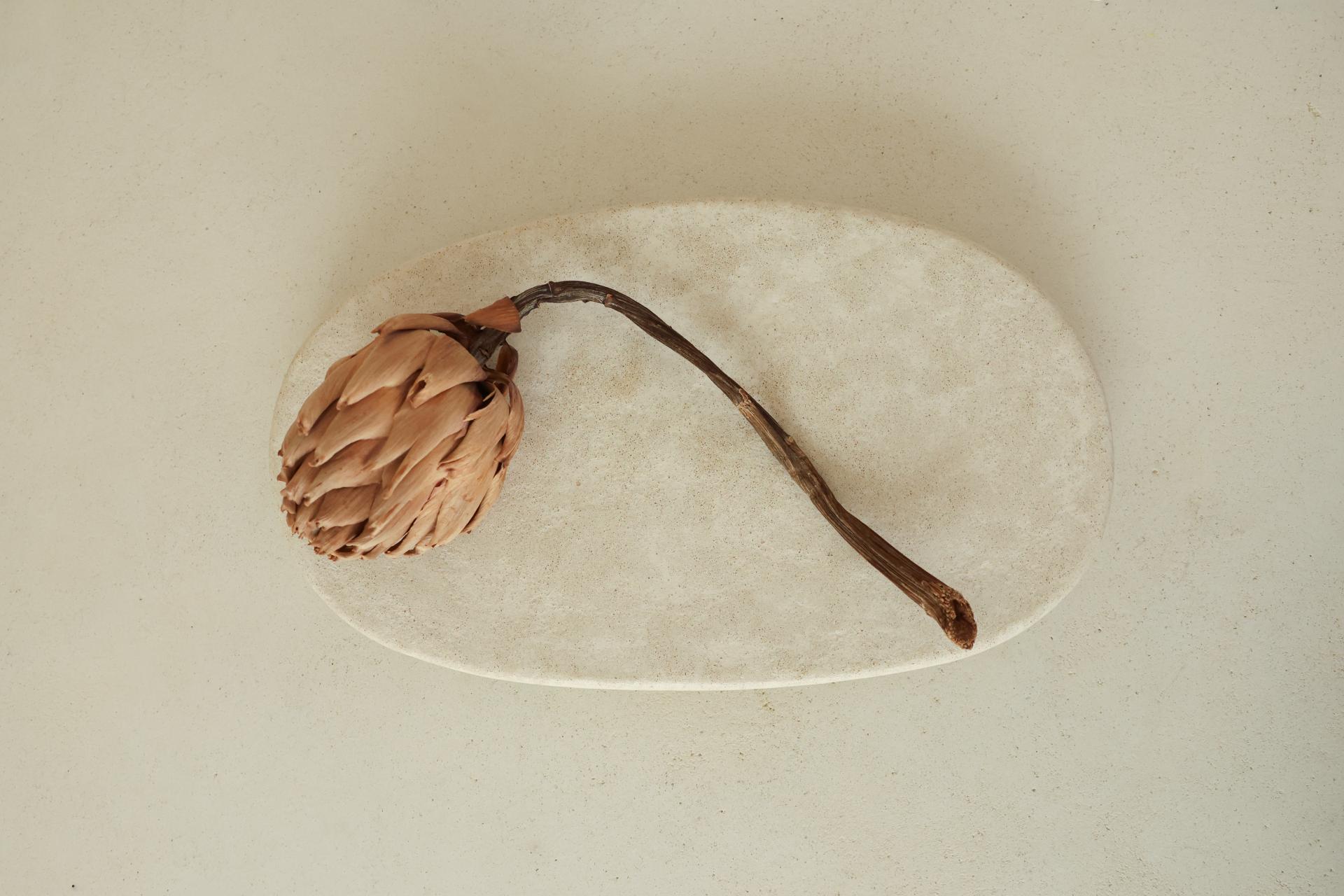 Droplet Tray · Stream