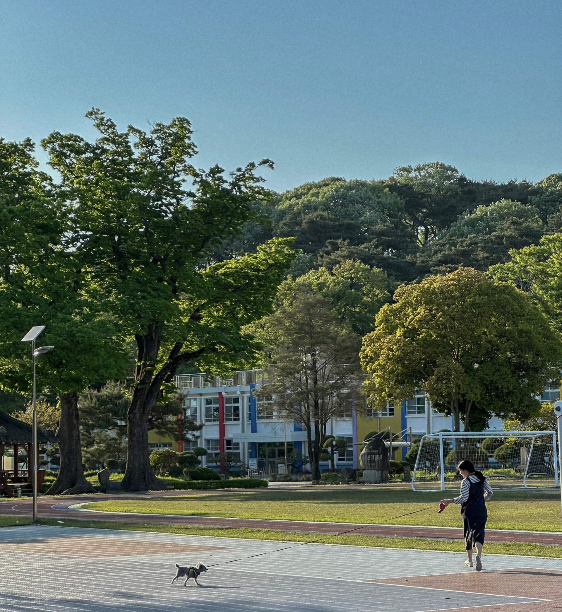 IMG_9386 (1)_11zon.png