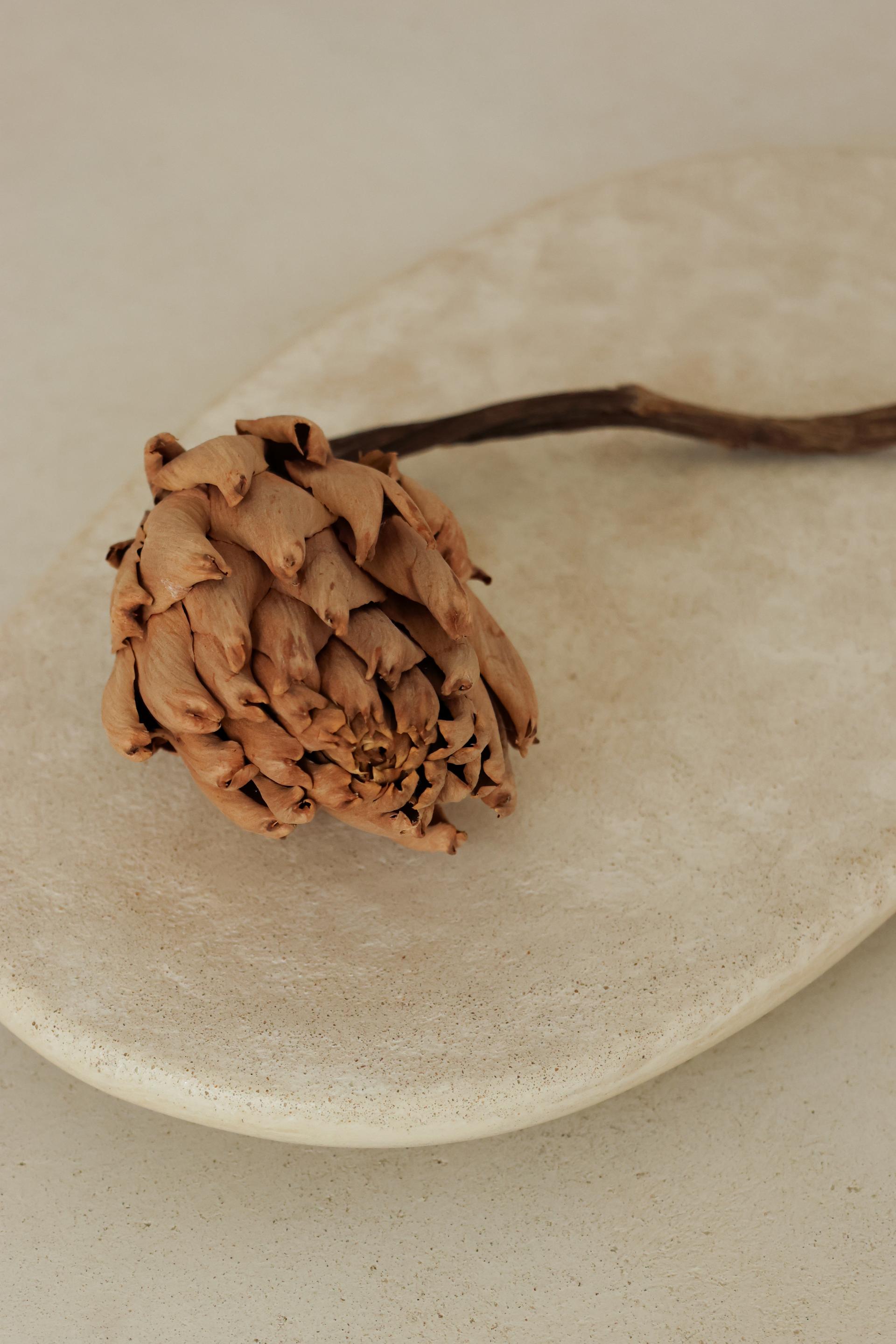 Droplet Tray · Stream