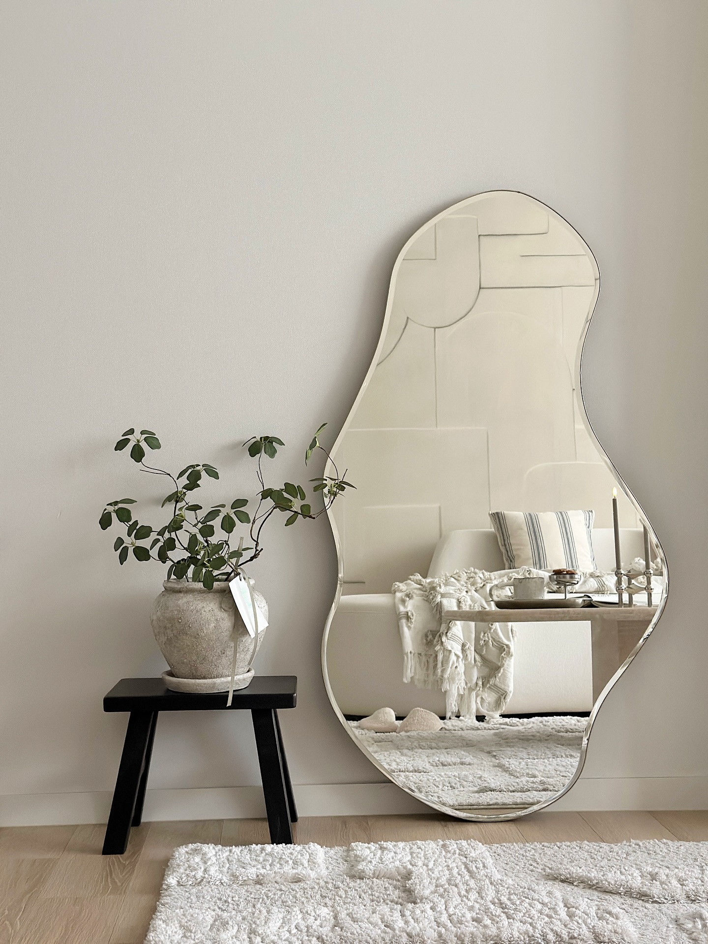 Pond Mirror 이미지 1