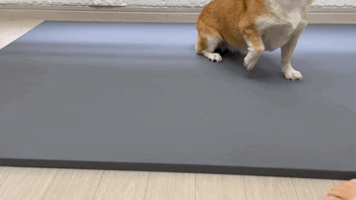 17c8281e08fca.gif
