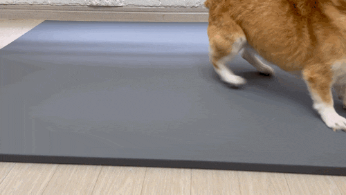 527922741e66a.gif