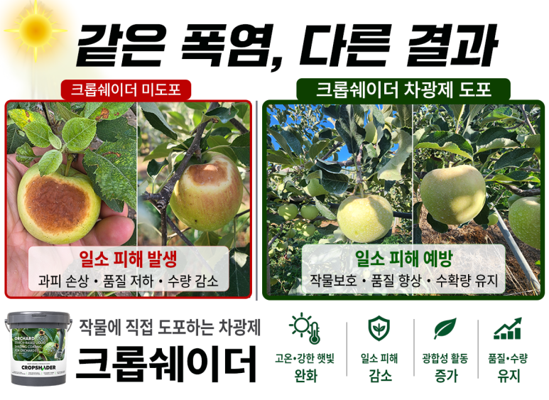 5cf9d96219ca8.png