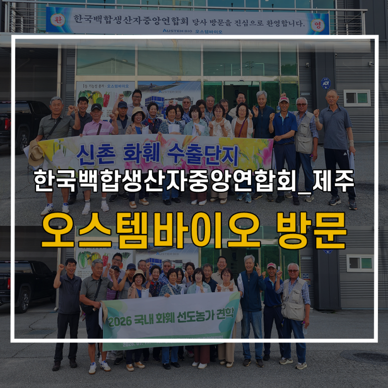 7ccaee1b94945.png