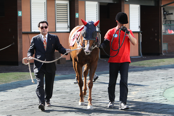 김진영(왼쪽) 마주가 2018년 자신의 경주마 ‘돌아온포경선’을 직접 예시하고 있다. /한국마사회