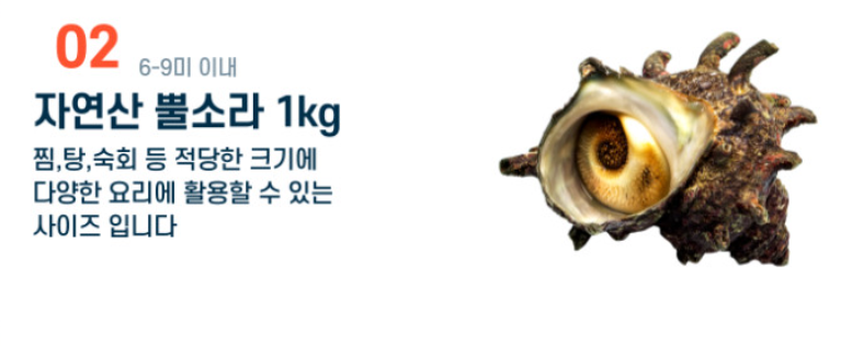 해녀언니 자연산 뿔소라 1kg