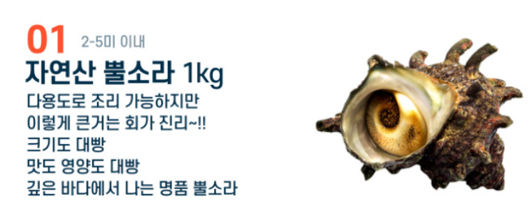 해녀언니 자연산 뿔소라 1kg