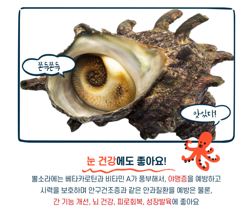 해녀언니 자연산 뿔소라 1kg