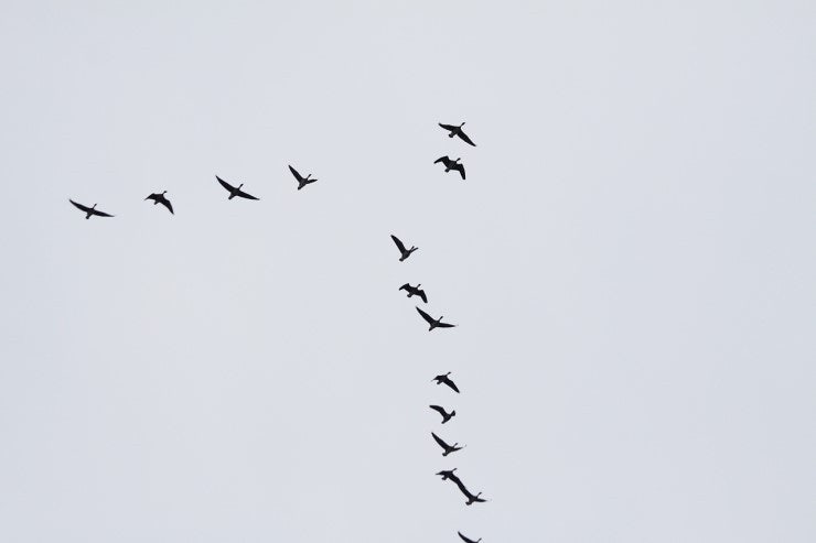 48690ac8d310b.jpg