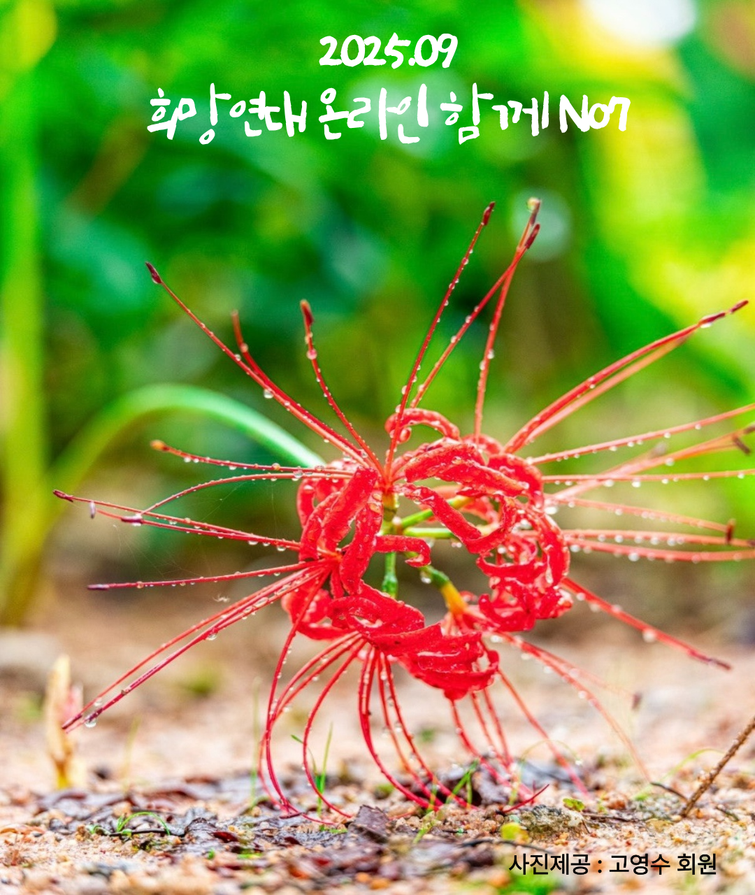 1c1bfd46536c4.png