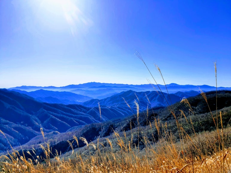 66c918bcb1f0d.png