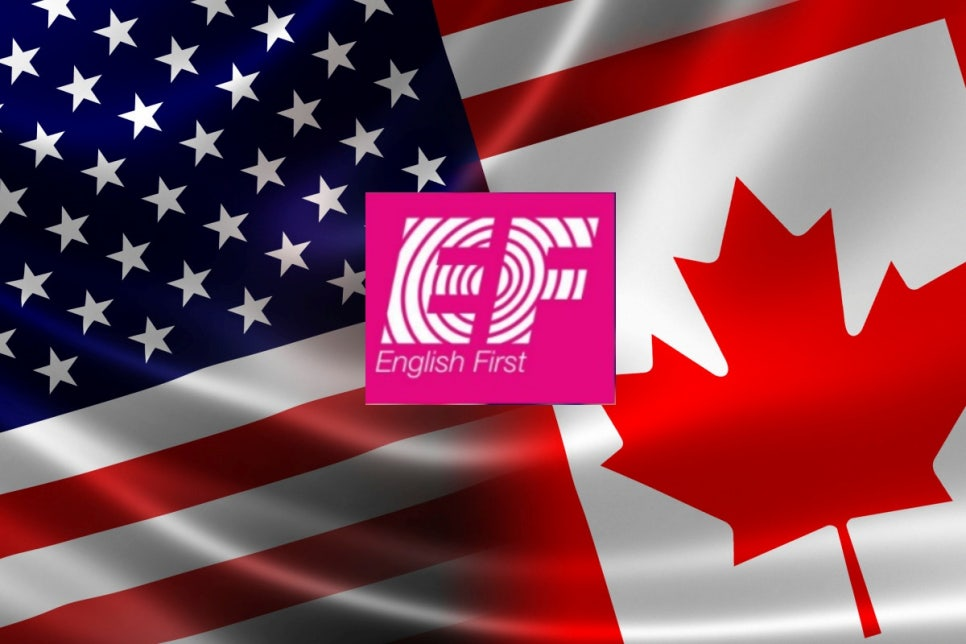 9fd31081a6b95.png