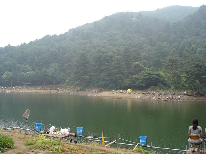 17f0cb745d854.jpg