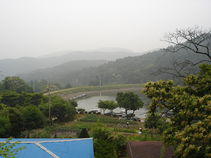 23e505dfc8d76.jpg
