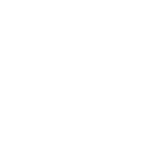 선한목자 젊은이교회 : 증인들의 여정