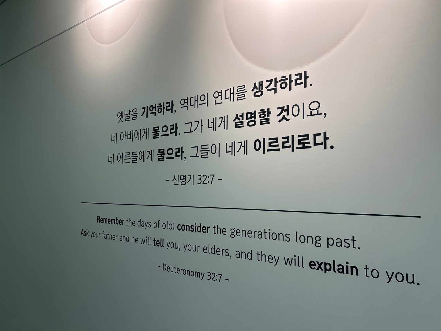 7b31e804a757d.jpeg