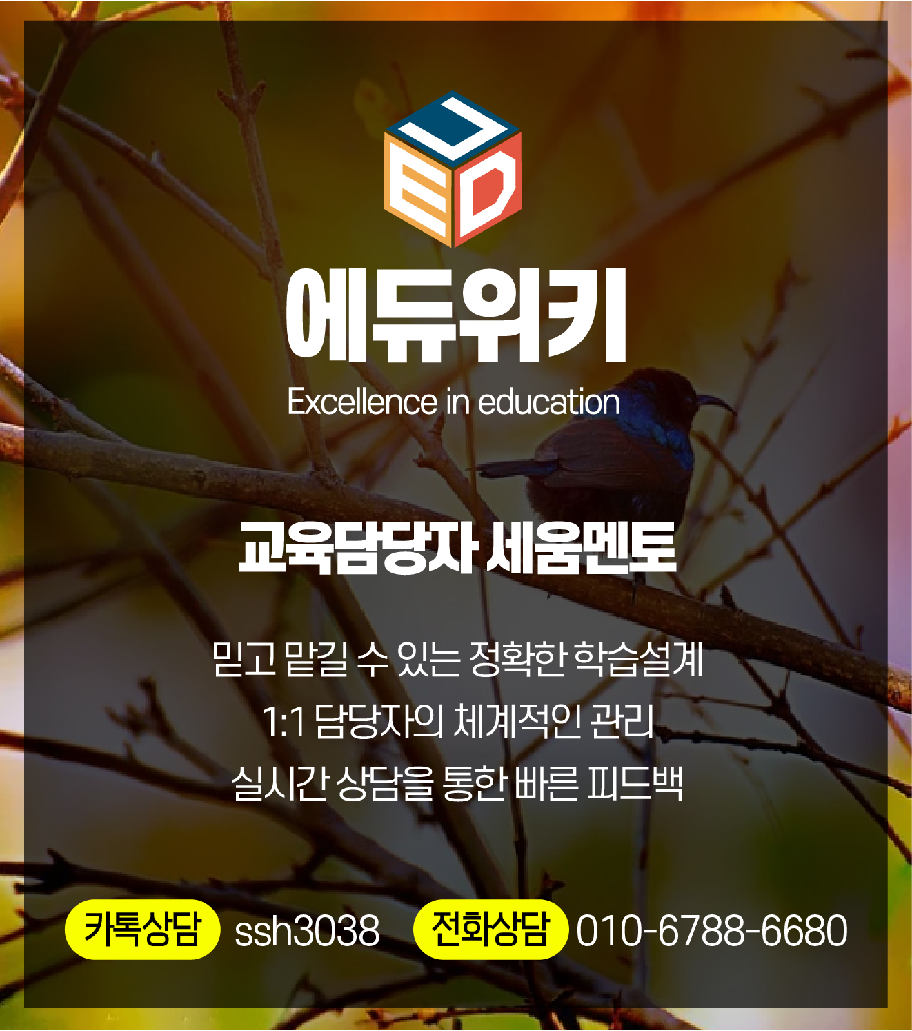 7c72bf538480c.png