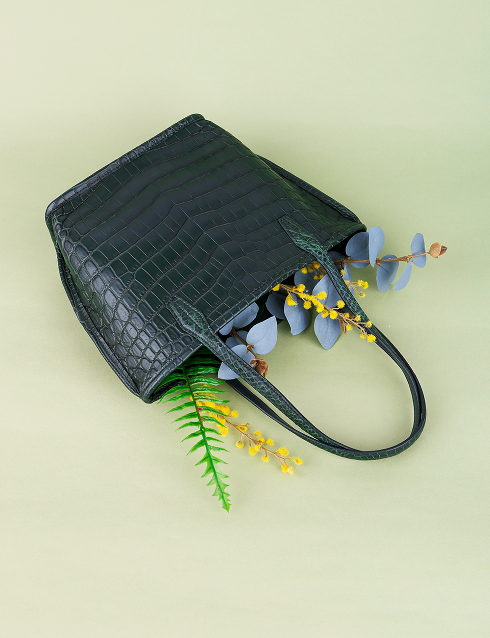 엘린 _사이프러스