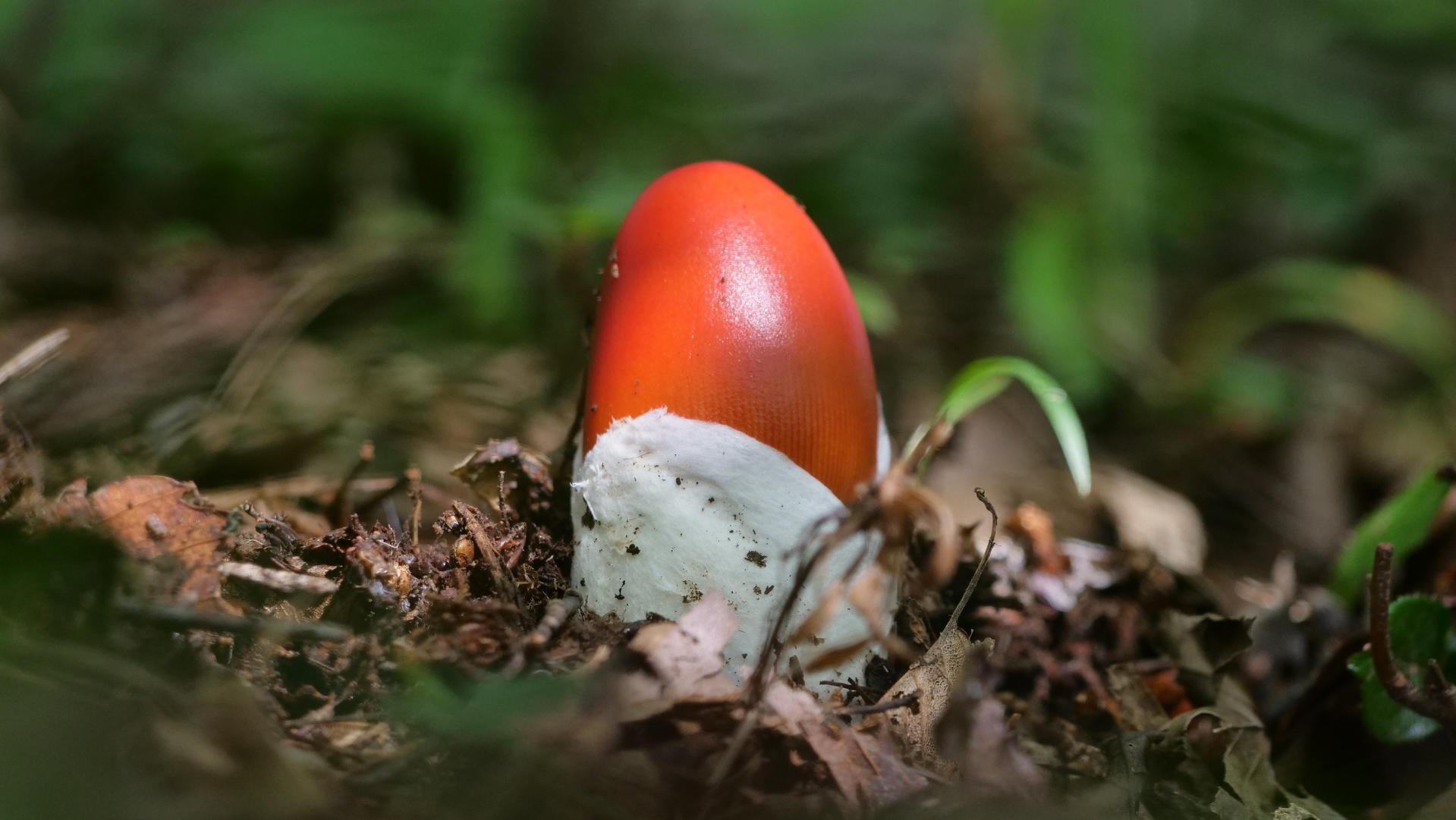 05d86d7301de2.jpg