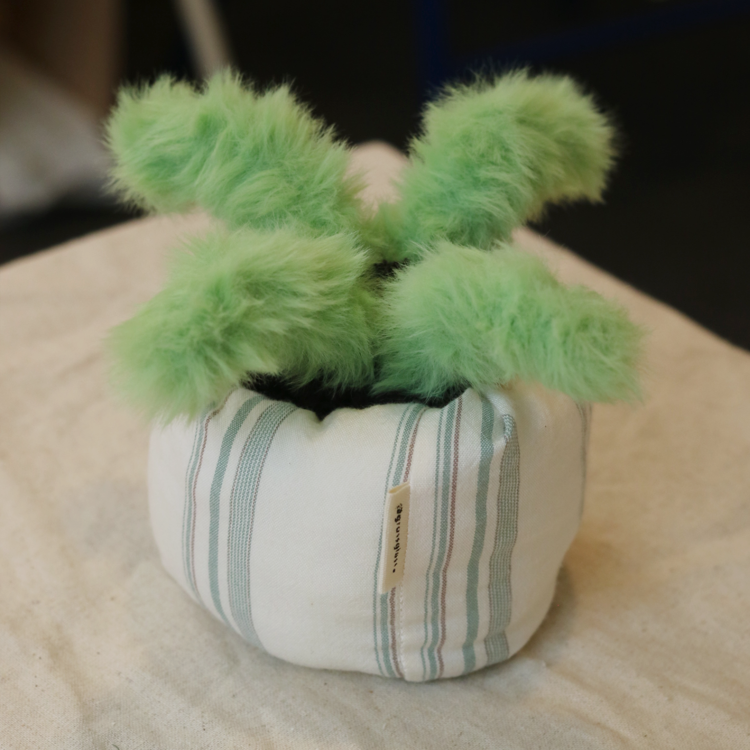 [6/15 10pm open] tidy pot : desk organizer | 깔끔한 화분씨