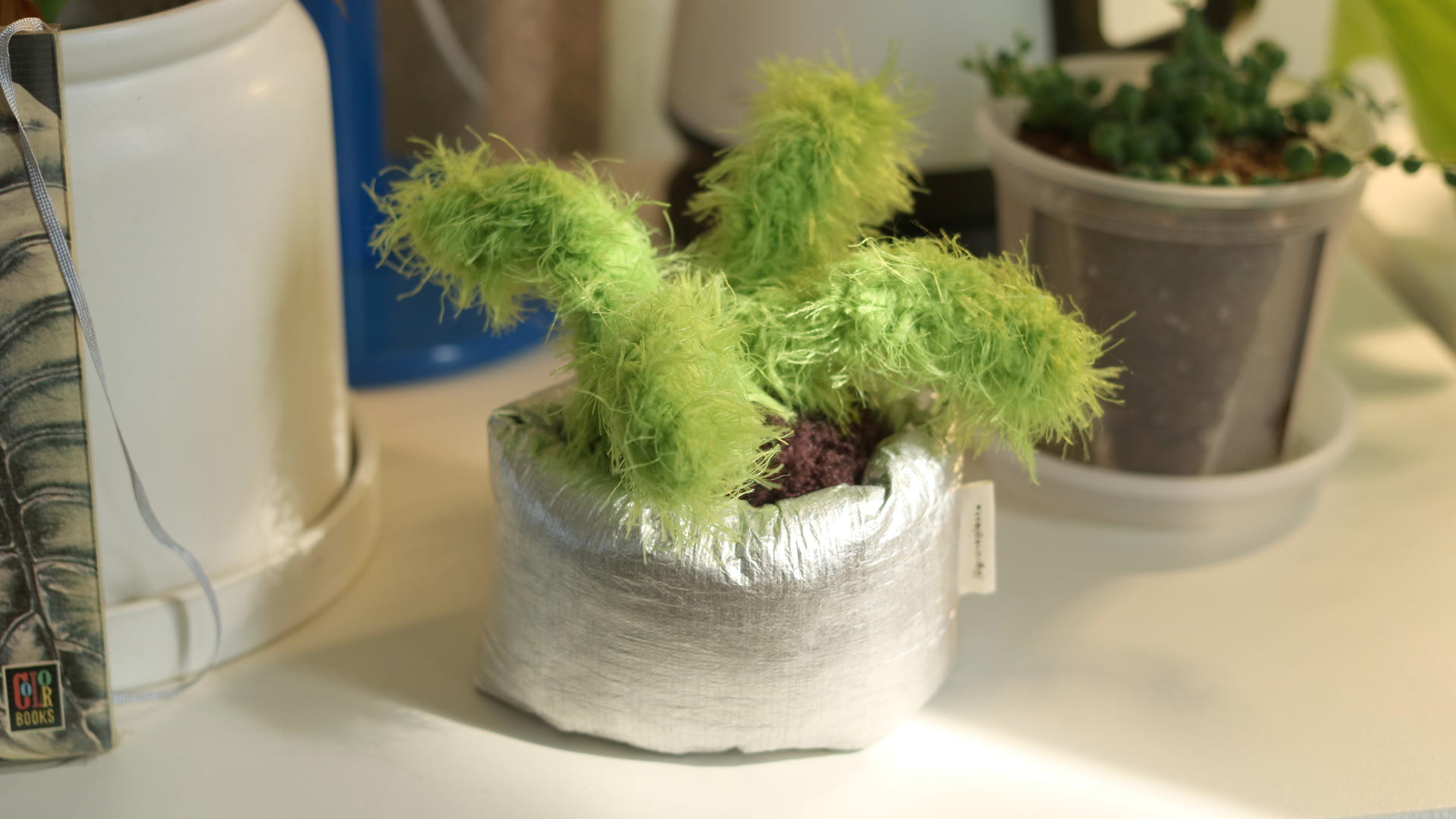 tidy pot : desk organizer | 깔끔한 화분씨 5th drop