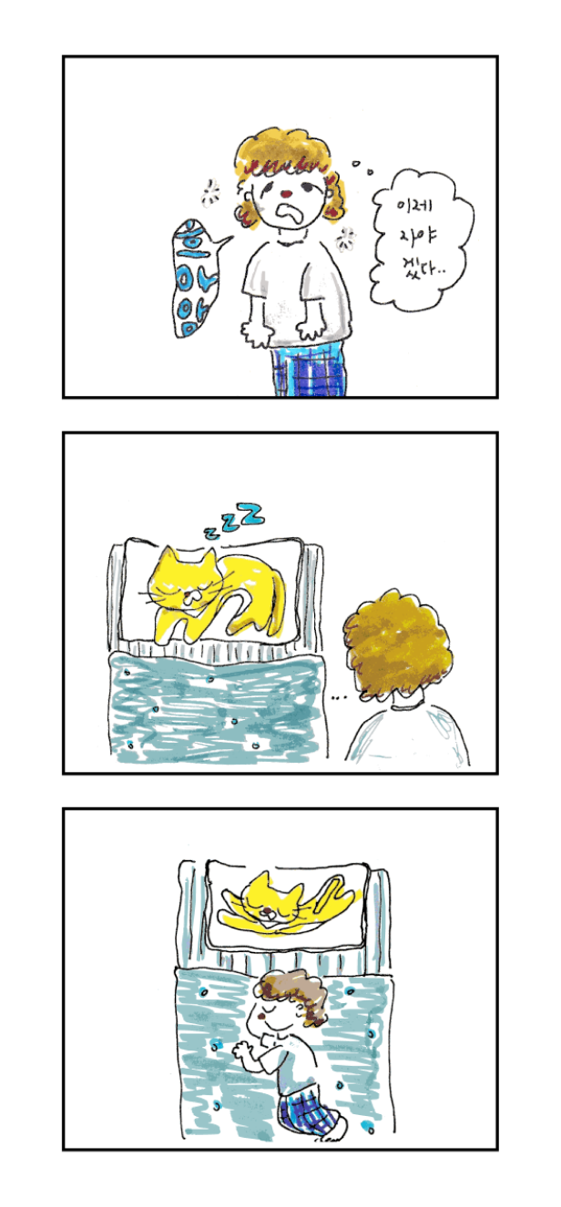 [5/15 10pm open] pillow cat organizer | 베개는내꺼야옹 오거나이저 (3-way)