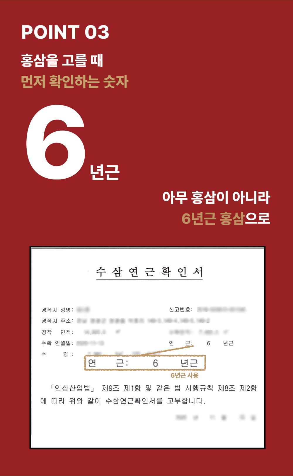 [추석특가 1+1] 6년근 홍삼정 스틱 총 200포 (전용 쇼핑백 증정 / 하루한포 건강선물), 2박스, 100회분
