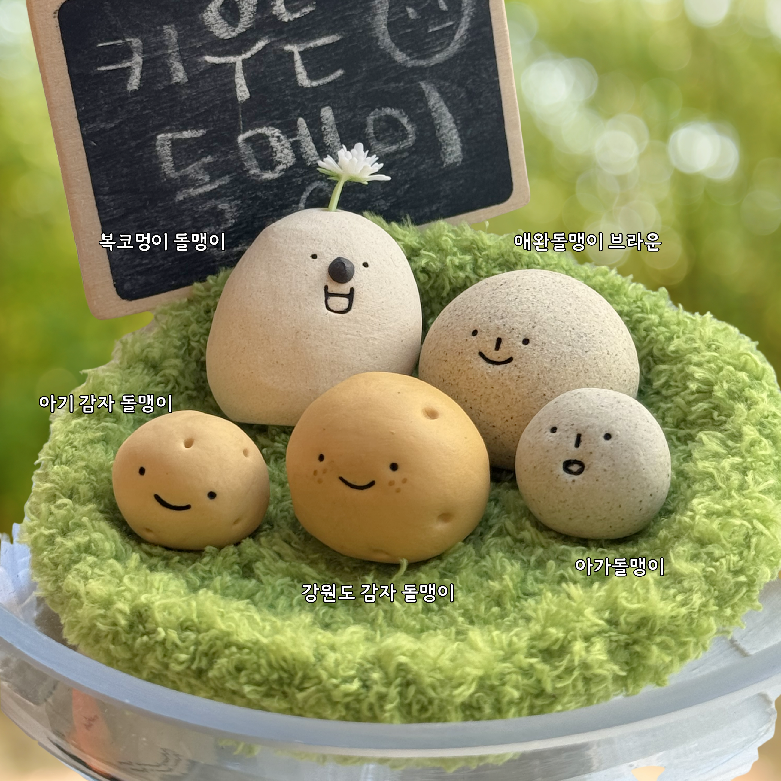 [분양중] 나만없는 애완돌맹이 시리즈 !!