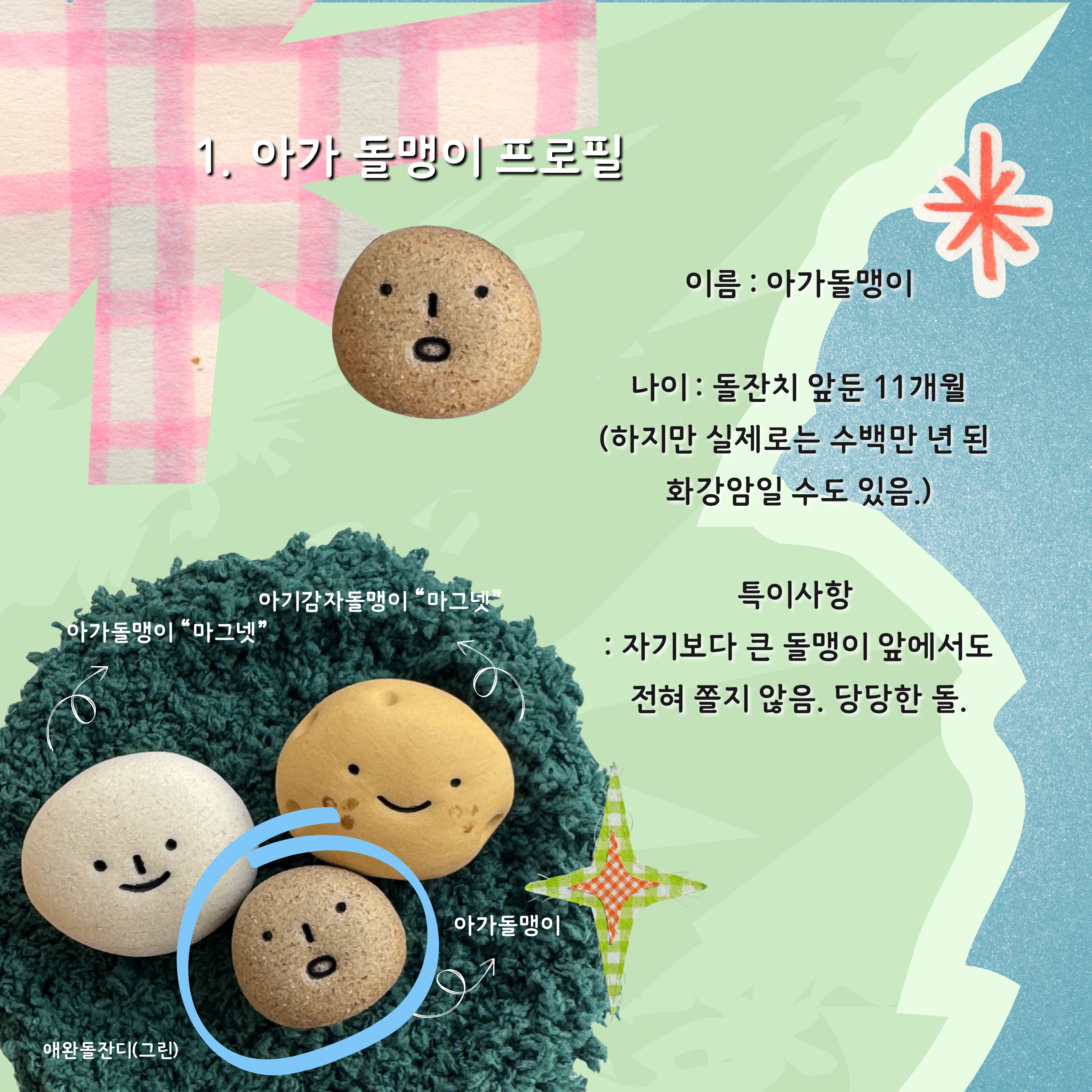 [분양중] 나만없는 애완돌맹이 시리즈 !!