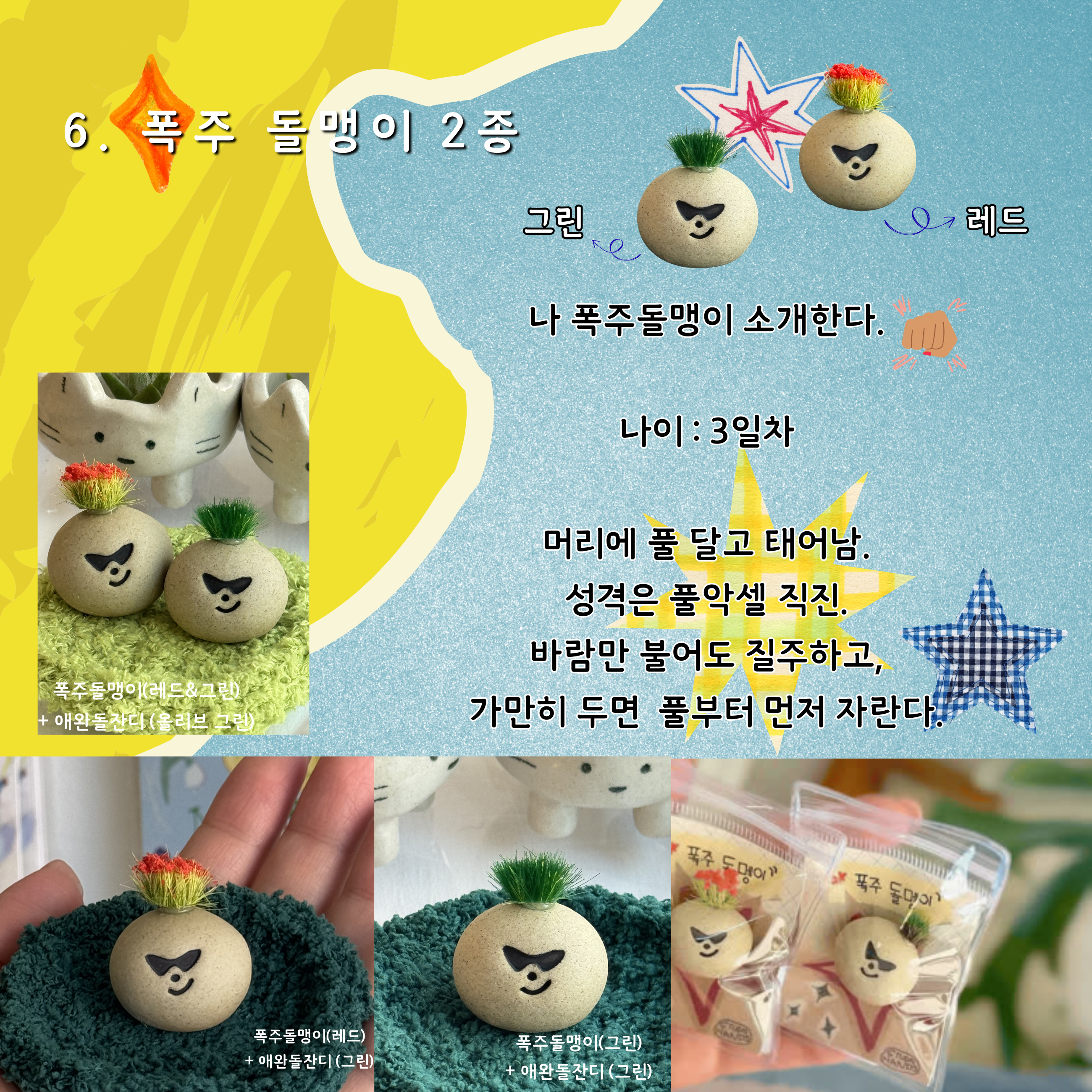 [분양중] 나만없는 애완돌맹이 시리즈 !!