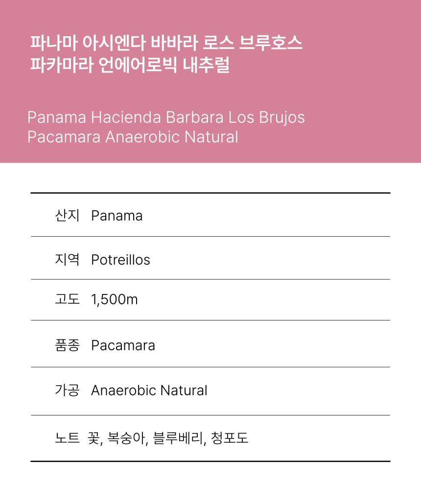 파나마 아시엔다 바바라 로스 브루호스 파카마라 언에어로빅 배추럴