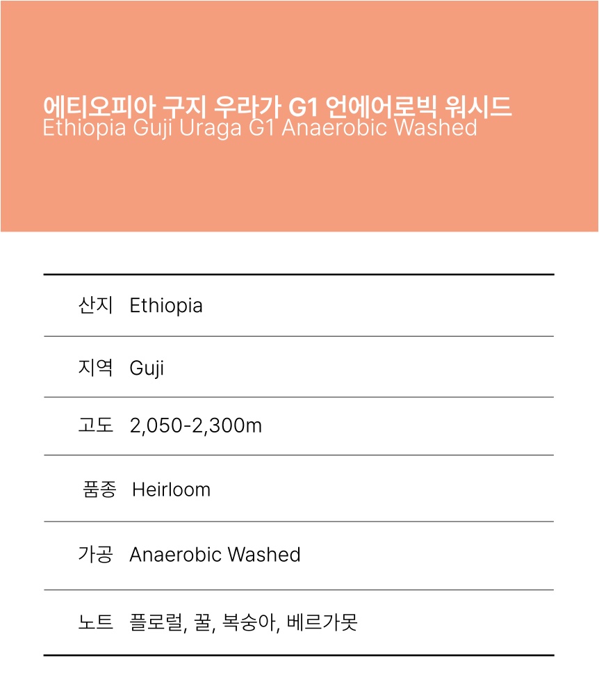에티오피아 구지 우라가 G1 언에어로빅 워시드
